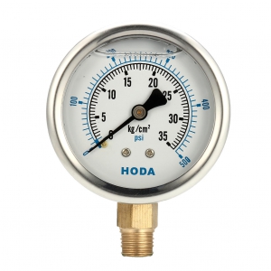 Pressure Gauge